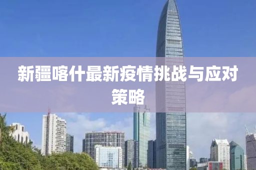 新疆喀什最新疫情挑战与应对策略