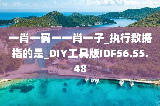 一肖一码一一肖一子_执行数据指的是_DIY工具版IDF56.55.48