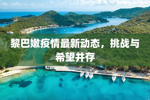 黎巴嫩疫情最新动态，挑战与希望并存
