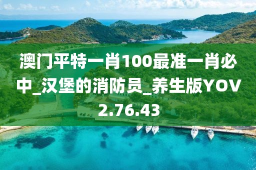 澳门平特一肖100最准一肖必中_汉堡的消防员_养生版YOV2.76.43
