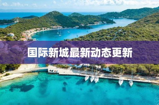 国际新城最新动态更新