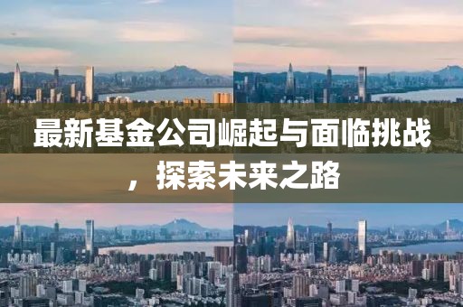 最新基金公司崛起与面临挑战，探索未来之路