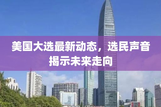 美国大选最新动态，选民声音揭示未来走向