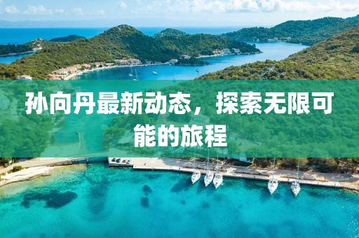 孙向丹最新动态，探索无限可能的旅程