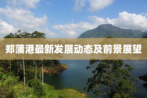 郑蒲港最新发展动态及前景展望
