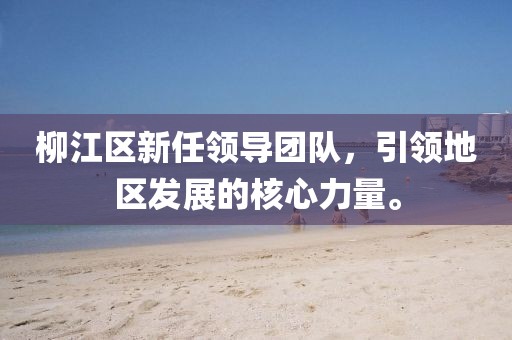 柳江区新任领导团队，引领地区发展的核心力量。