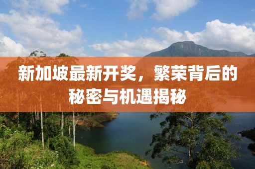 新加坡最新开奖，繁荣背后的秘密与机遇揭秘