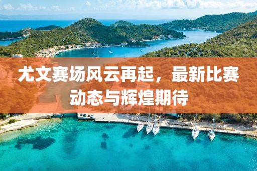 尤文赛场风云再起，最新比赛动态与辉煌期待