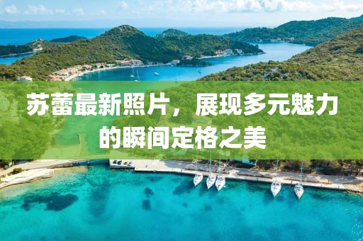 苏蕾最新照片，展现多元魅力的瞬间定格之美