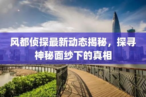风都侦探最新动态揭秘，探寻神秘面纱下的真相