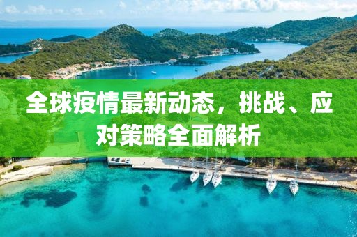 全球疫情最新动态，挑战、应对策略全面解析