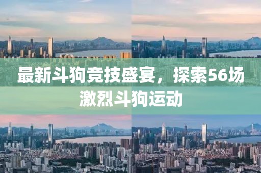 最新斗狗竞技盛宴，探索56场激烈斗狗运动