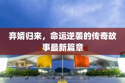 弃婿归来，命运逆袭的传奇故事最新篇章
