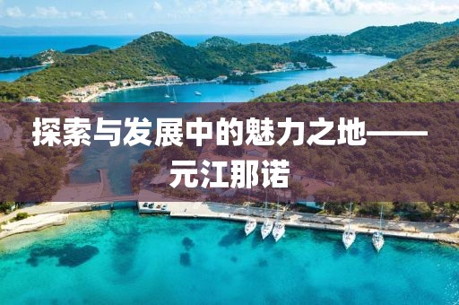 探索与发展中的魅力之地——元江那诺