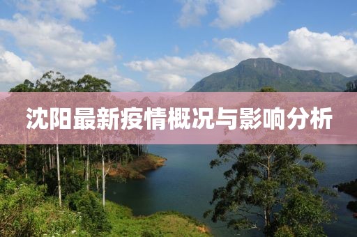 沈阳最新疫情概况与影响分析