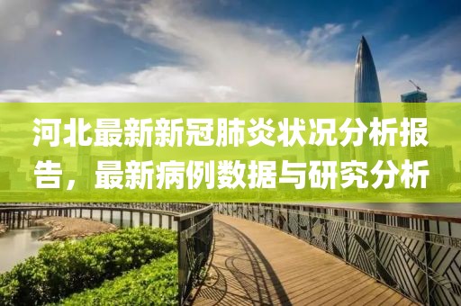 河北最新新冠肺炎状况分析报告，最新病例数据与研究分析