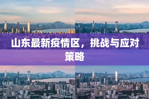 山东最新疫情区，挑战与应对策略