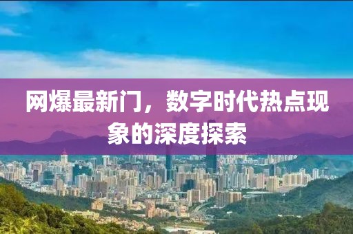 网爆最新门，数字时代热点现象的深度探索