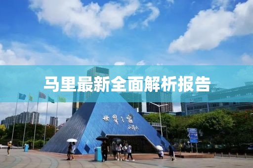 马里最新全面解析报告