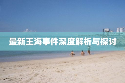 最新王海事件深度解析与探讨