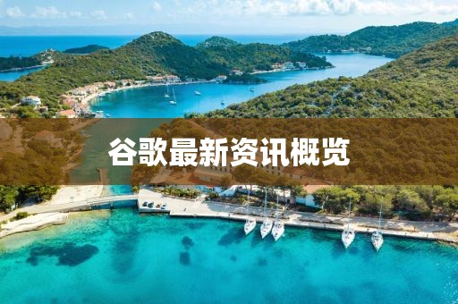 谷歌最新资讯概览