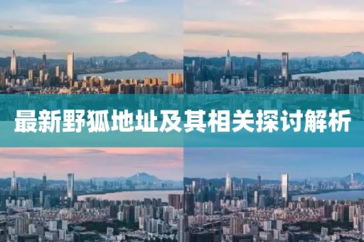 最新野狐地址及其相关探讨解析
