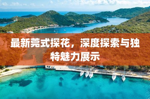 最新莞式探花，深度探索与独特魅力展示