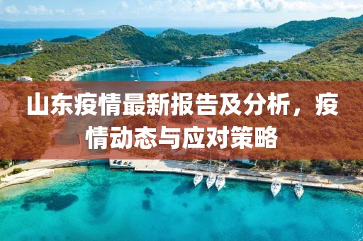 山东疫情最新报告及分析，疫情动态与应对策略