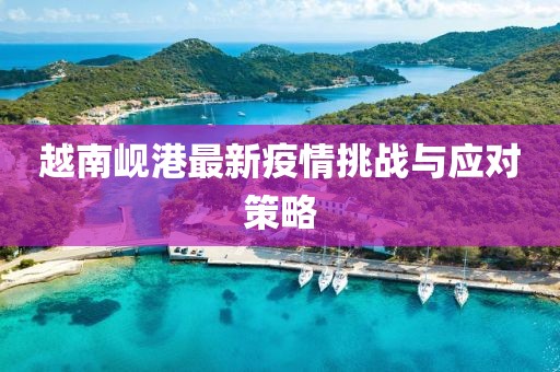 越南岘港最新疫情挑战与应对策略