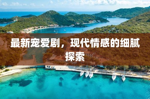 心许君 第4页