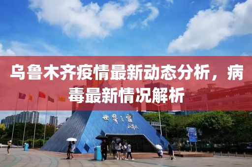 乌鲁木齐疫情最新动态分析，病毒最新情况解析