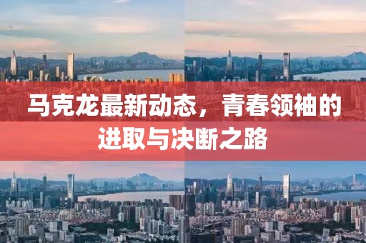 马克龙最新动态，青春领袖的进取与决断之路