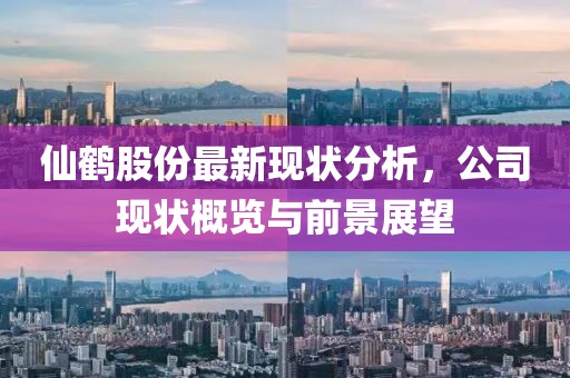 仙鹤股份最新现状分析，公司现状概览与前景展望