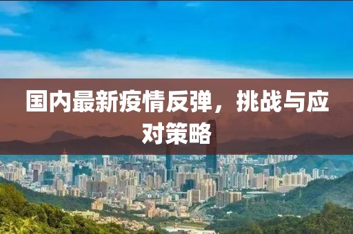 国内最新疫情反弹，挑战与应对策略