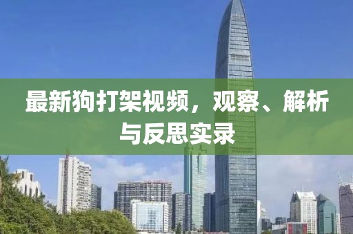 最新狗打架视频，观察、解析与反思实录