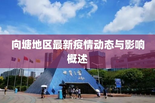 向塘地区最新疫情动态与影响概述