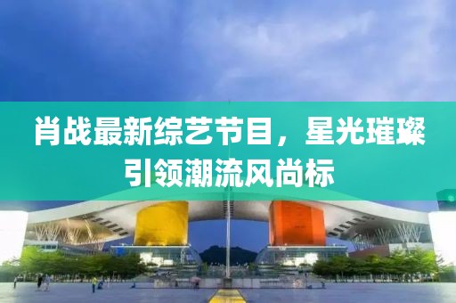 肖战最新综艺节目，星光璀璨引领潮流风尚标