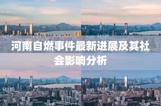 河南自燃事件最新进展及其社会影响分析