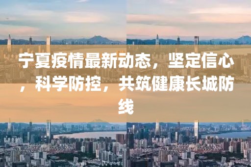 宁夏疫情最新动态，坚定信心，科学防控，共筑健康长城防线