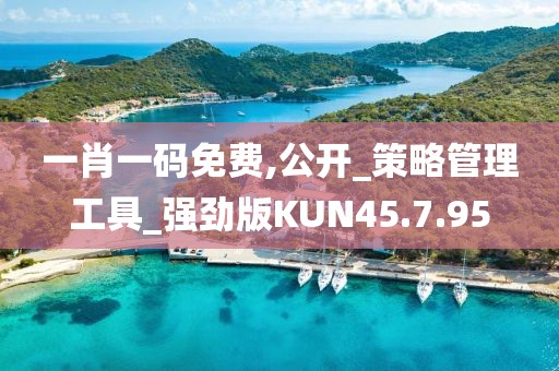 一肖一码免费,公开_策略管理工具_强劲版KUN45.7.95