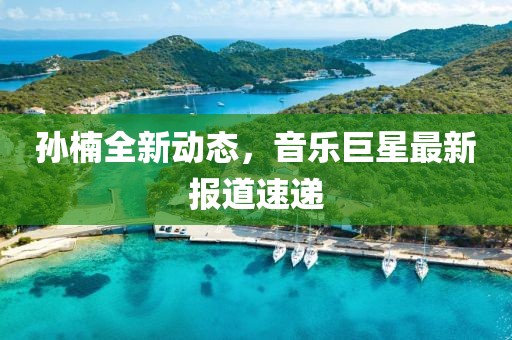 孙楠全新动态，音乐巨星最新报道速递