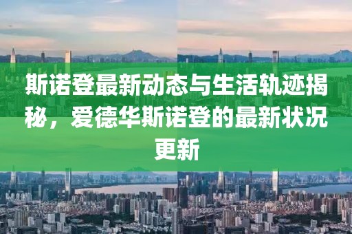 斯诺登最新动态与生活轨迹揭秘，爱德华斯诺登的最新状况更新