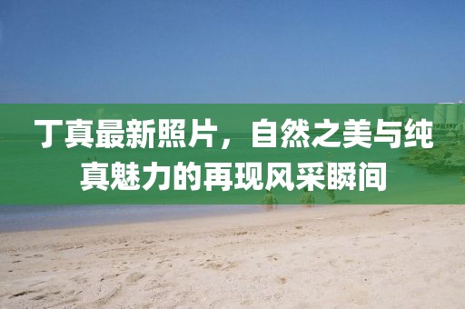 丁真最新照片，自然之美与纯真魅力的再现风采瞬间