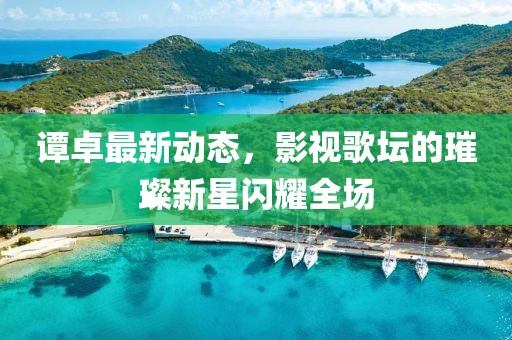 谭卓最新动态，影视歌坛的璀璨新星闪耀全场