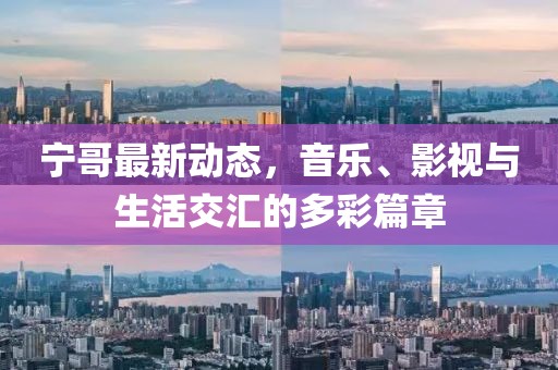 宁哥最新动态，音乐、影视与生活交汇的多彩篇章
