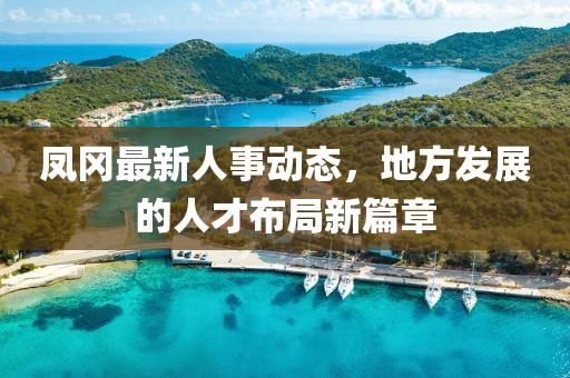 凤冈最新人事动态，地方发展的人才布局新篇章