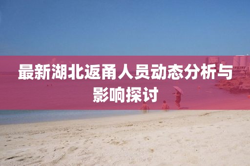 最新湖北返甬人员动态分析与影响探讨