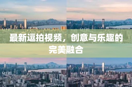 最新逗拍视频，创意与乐趣的完美融合