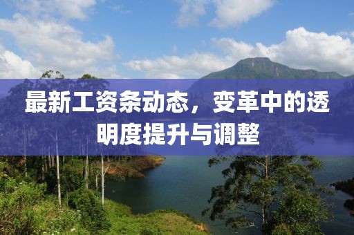 最新工资条动态，变革中的透明度提升与调整
