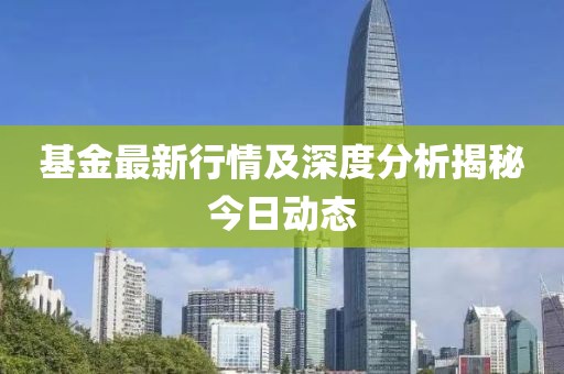 基金最新行情及深度分析揭秘今日动态